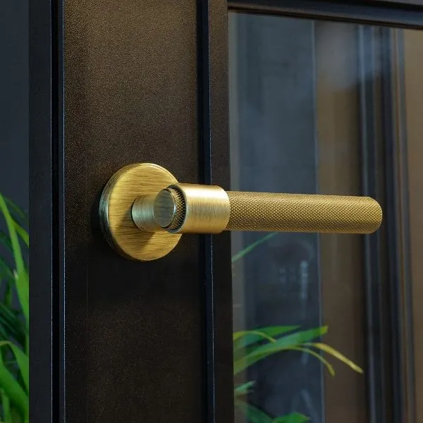 Brass lever handle on a dark aluminium door