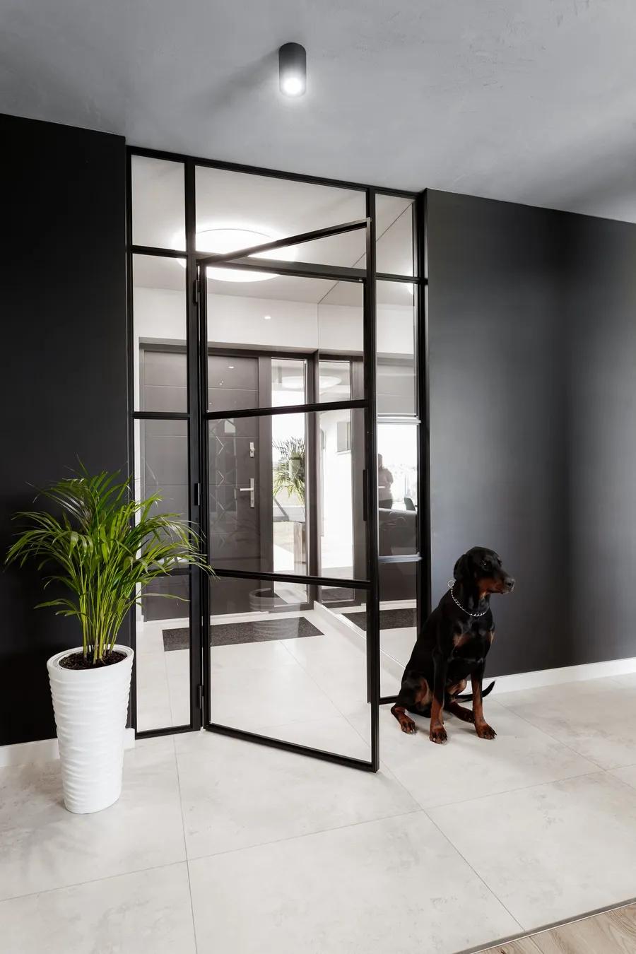 Single hinged aluminium glazed door